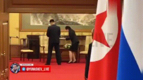 金正恩的安保太夸张了，朝方严防死守，连一丝DNA的痕迹都不留。2025年9月
