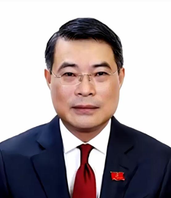 越南这盘棋，越来越有意思了 都以为苏林上来要大换血，把阮富仲的老人都给清出去