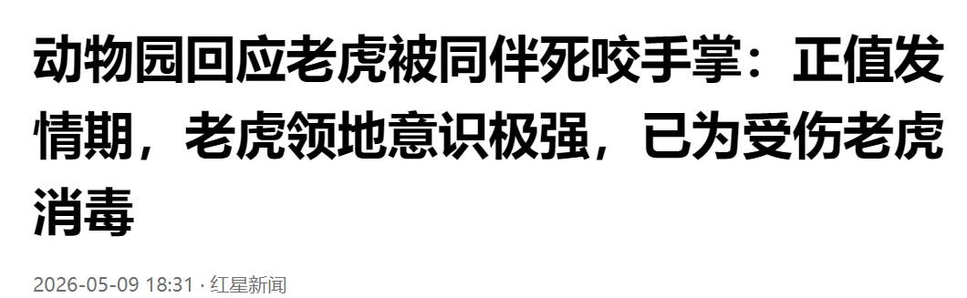 动物园老虎互撕！同伴死死咬住手掌，园方回应：正值发情期，领地意识极强。画面扎