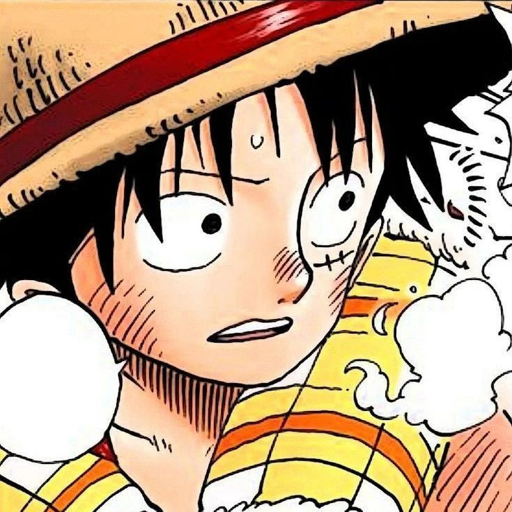 海贼王海贼王来欣赏哈路飞大头