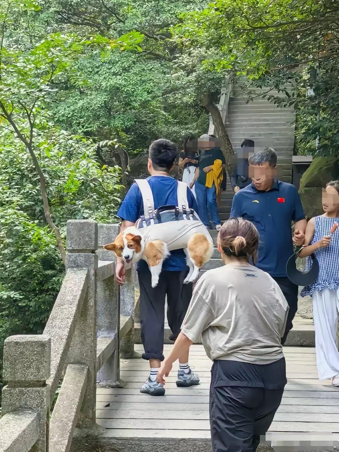 小伙带自家狗狗登山，因路程远台阶多怕狗子累着，于是用双肩背带将狗子背在背上，一路