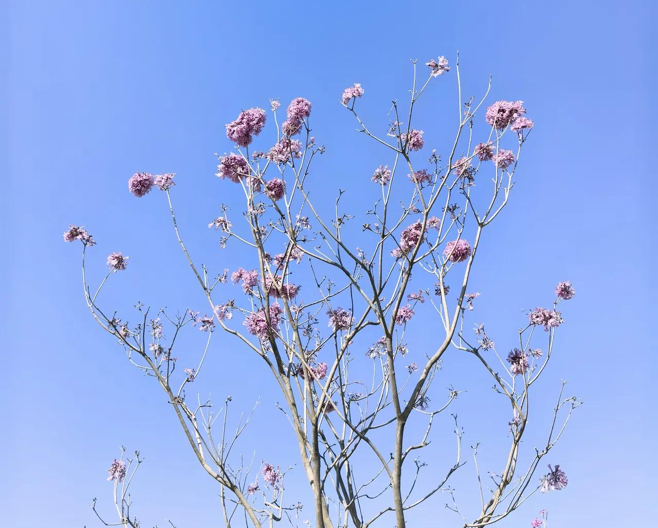 有公积金的忍住别笑公积金马上迎来大改革，据统计全国账户躺着10.9万亿的资金