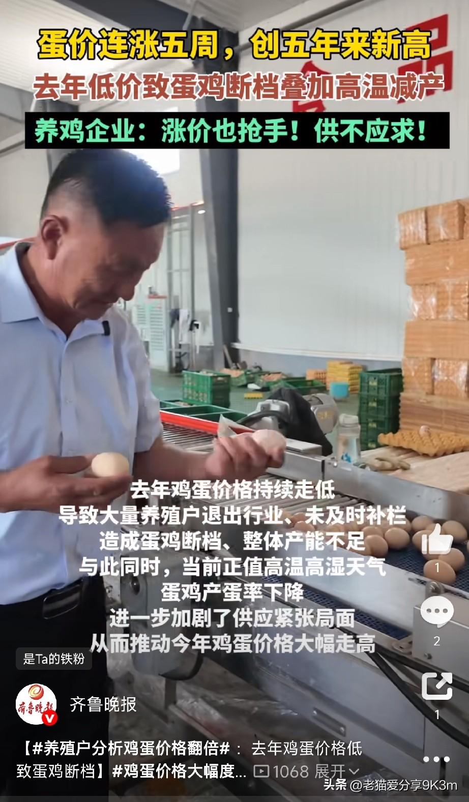 最近去菜市场买鸡蛋的朋友，应该都有同一个感受——贵了，而且贵了不少。济南的鸡