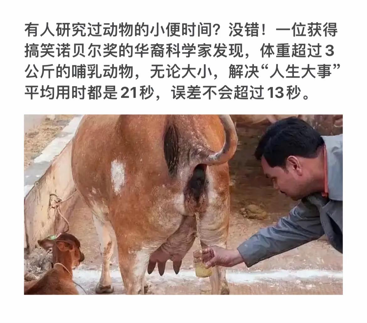 动物的小便时间研究：21秒搞定！🐄💧