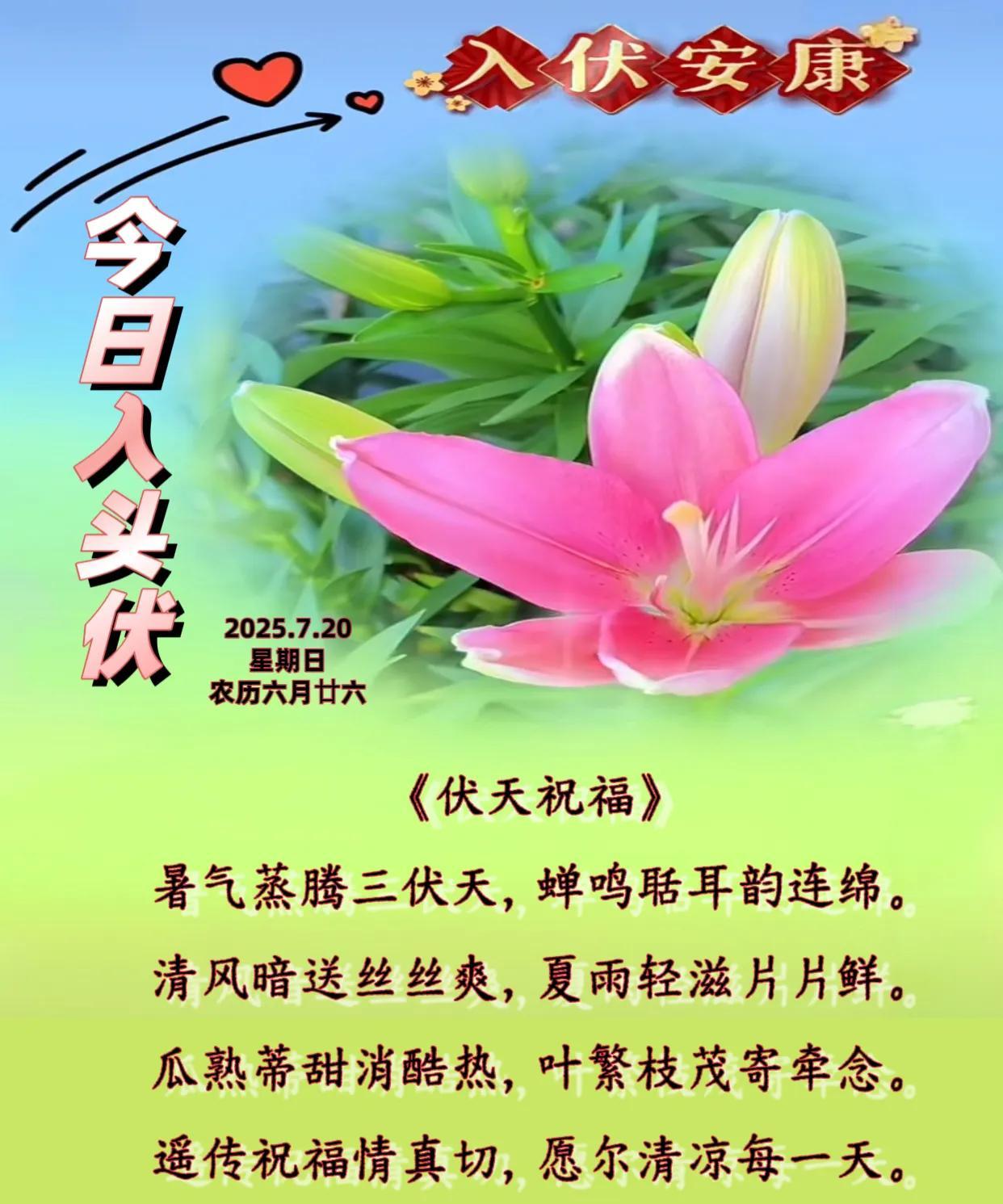 朋友：早安！今日入头伏。《伏天祝福》暑气蒸腾三伏天，蝉鸣聒耳韵连绵。清风暗
