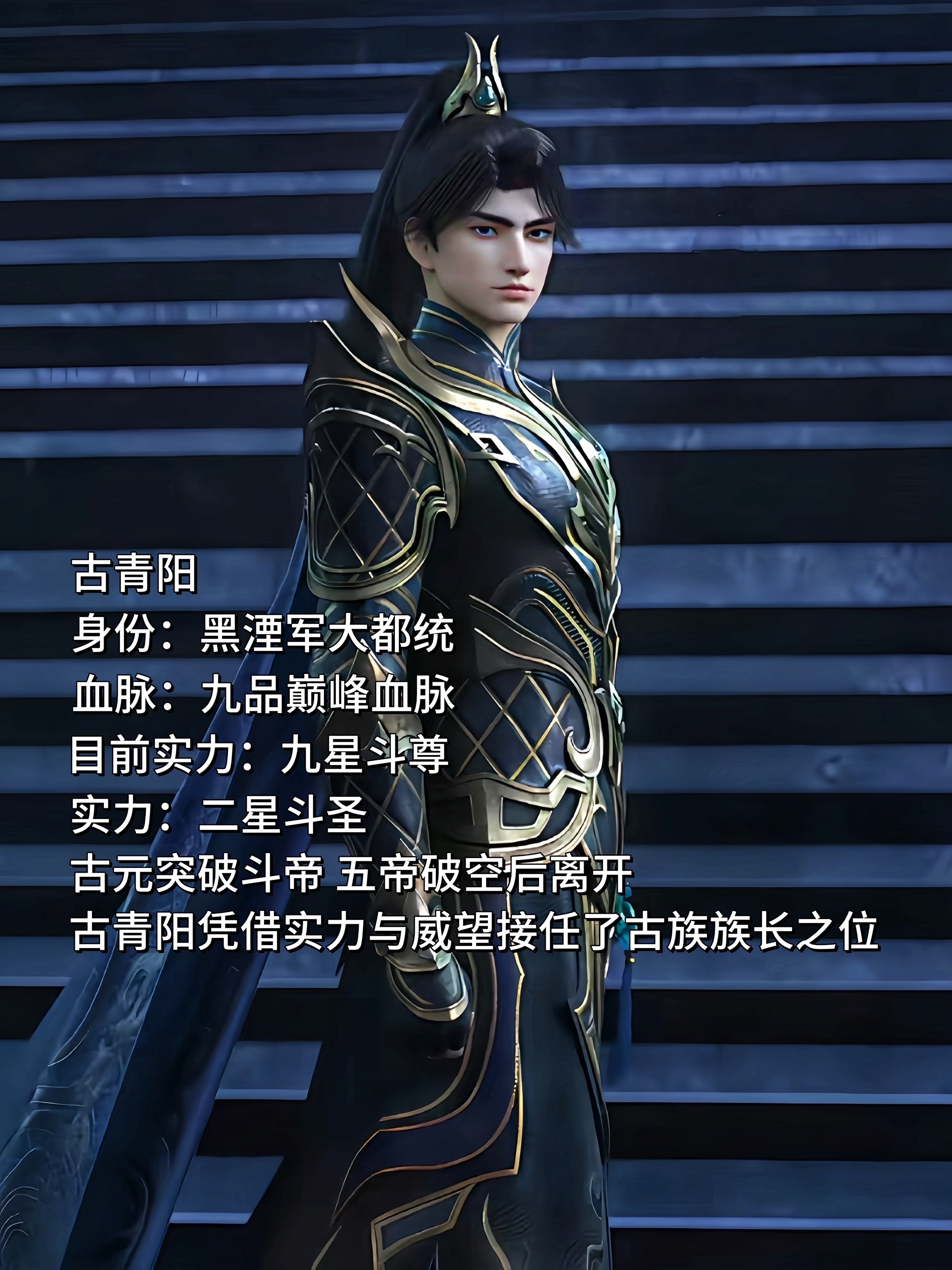 古青阳黑湮军大都统.，未来古族族长