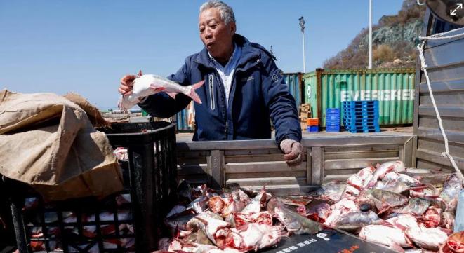 终于出手！大陆撤掉对台十几年关税优待，最惨的根本不是民进党 细数被取消的商品