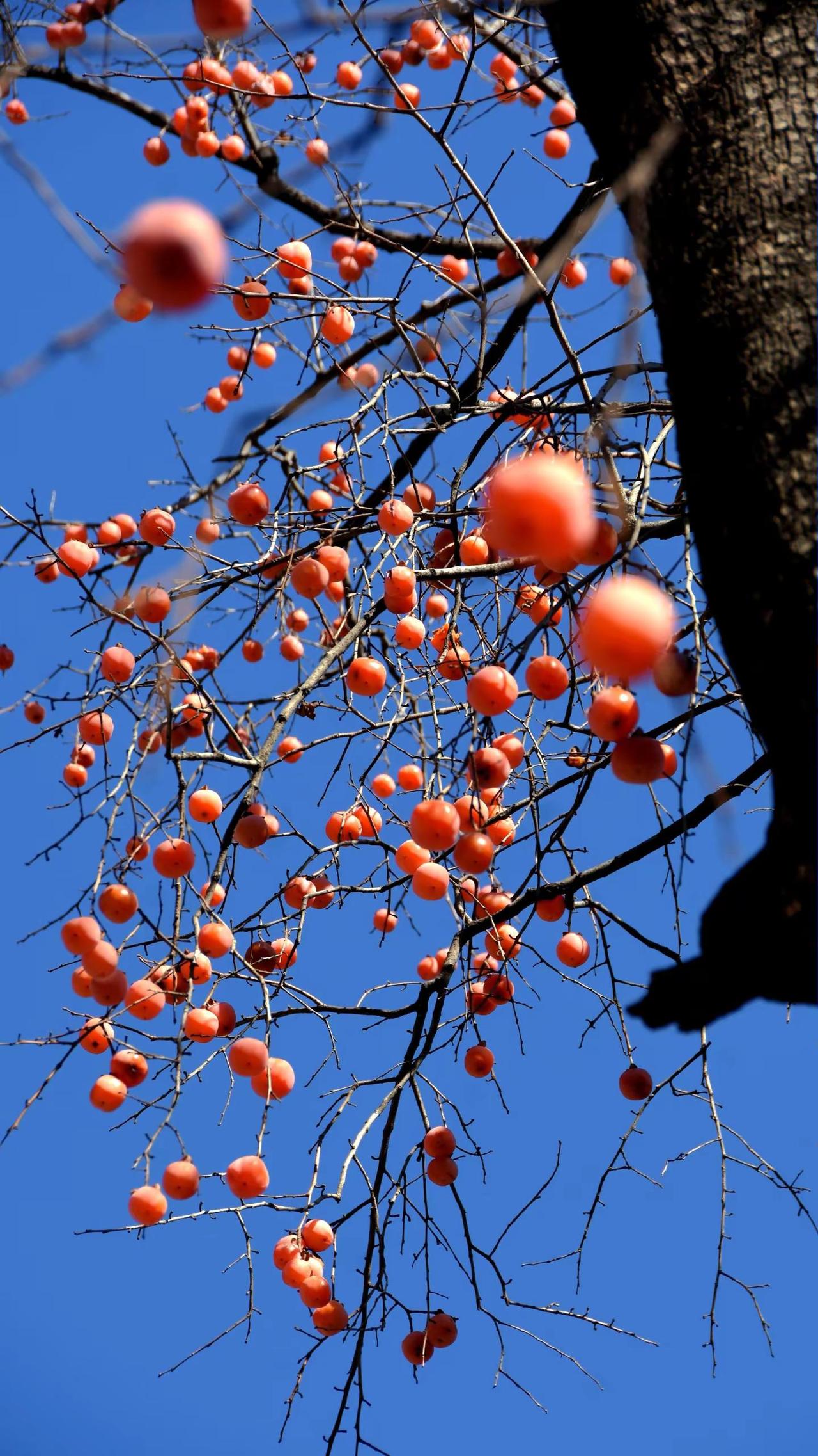记录•太行一日原创摄影