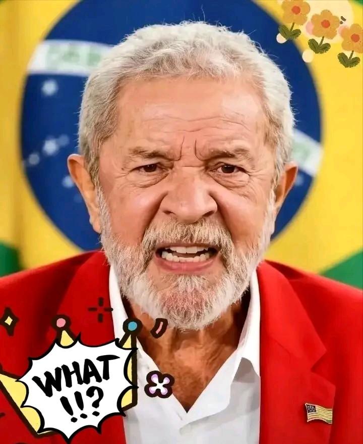 就在今天巴西肠子都悔青了11月2号，中国宣布将采购美国大豆，而且一买