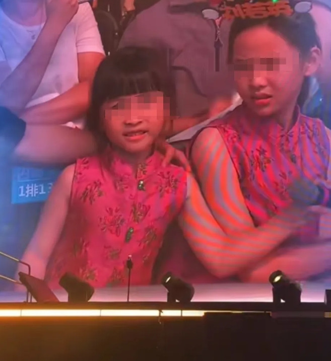有一种巴掌扇不进屏幕的无力刘若英演唱会宛如一场大型集体霸凌现场内场点