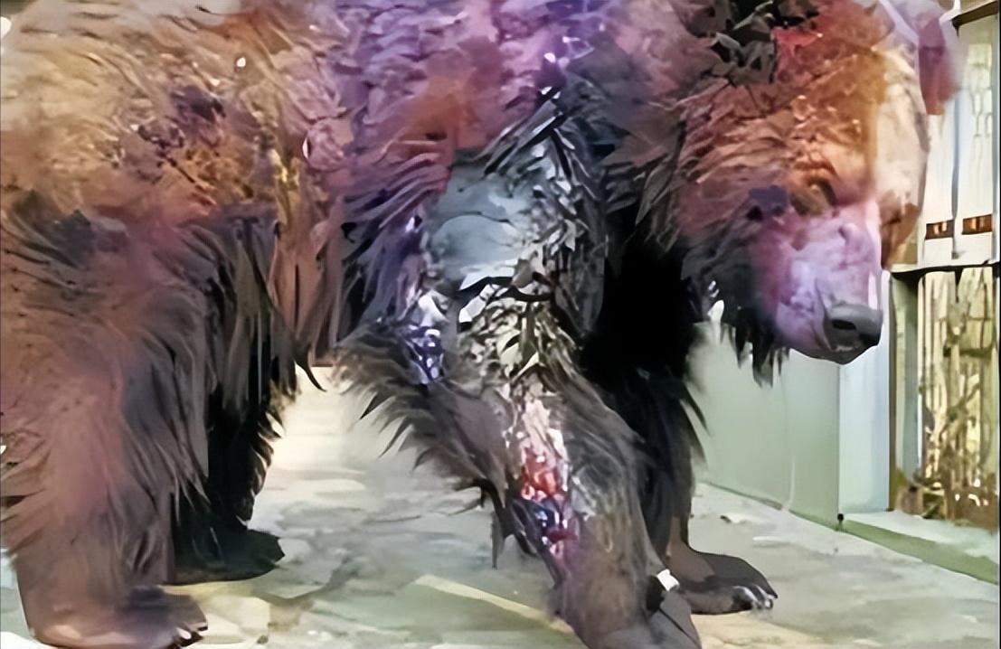 2002年，年仅22岁的清华学生刘海洋，在北京动物园先后用浓硫酸泼伤五只熊。如今