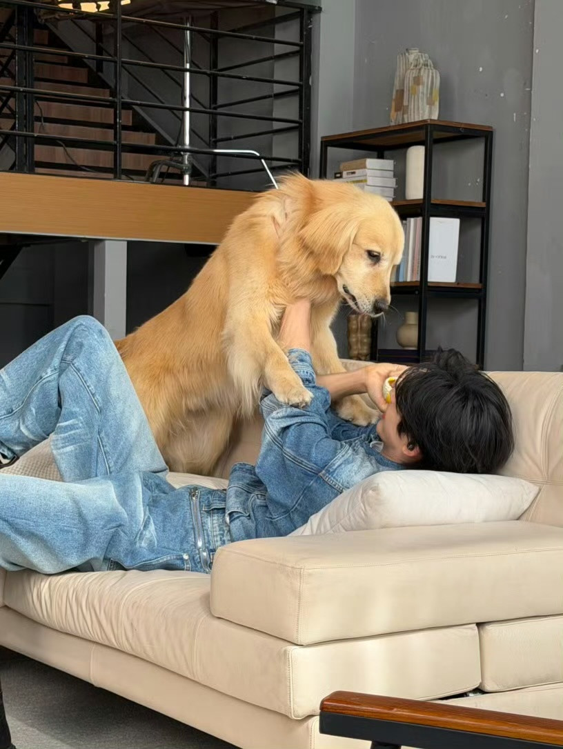 宋威龙🐕​​​