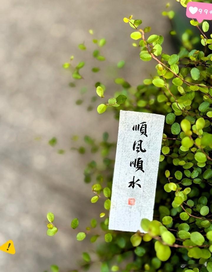 总有人说你命好，有贵人相助，一路顺风顺水。可谁也不知道，你在深夜里偷偷崩溃过多少