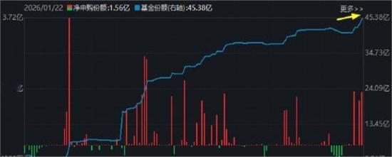 跟一个在头部基金做渠道的朋友吃饭，他抿了口茶，压低声音说：“现在圈里都知道，钱正