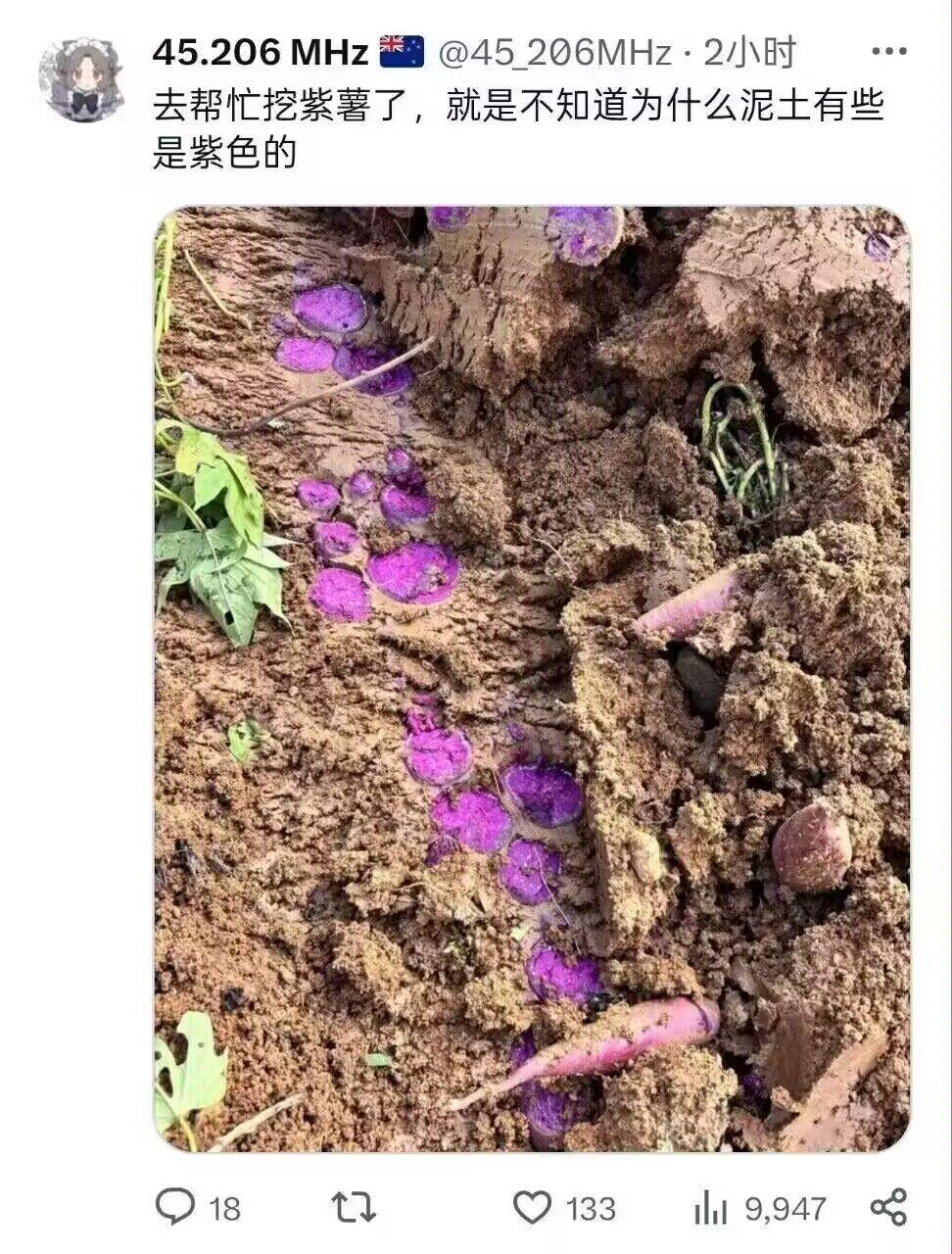 好家伙，你下次别去了[捂脸哭]