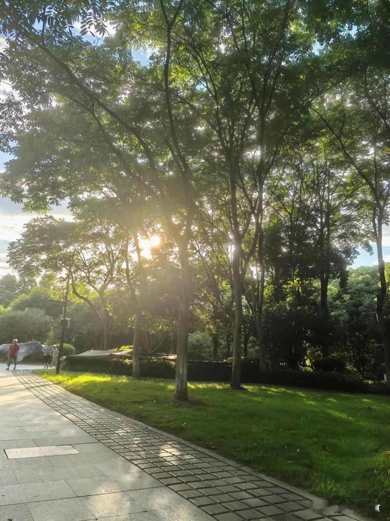 今年哪一天入伏？哪一天出伏？总共有多少天？2026年三伏天时间已确定：7月15