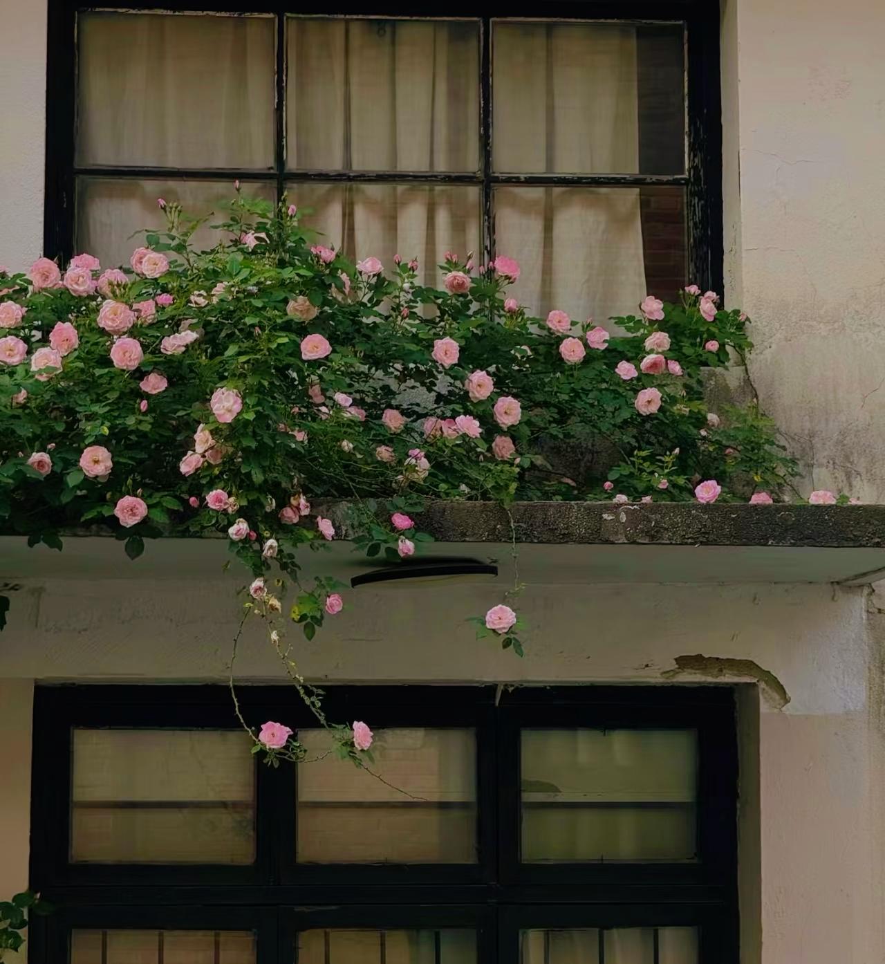 先生，何为夫妻？高尔基曾说：“婚姻是两个人精神的结合，目的就是要共同克服人世的