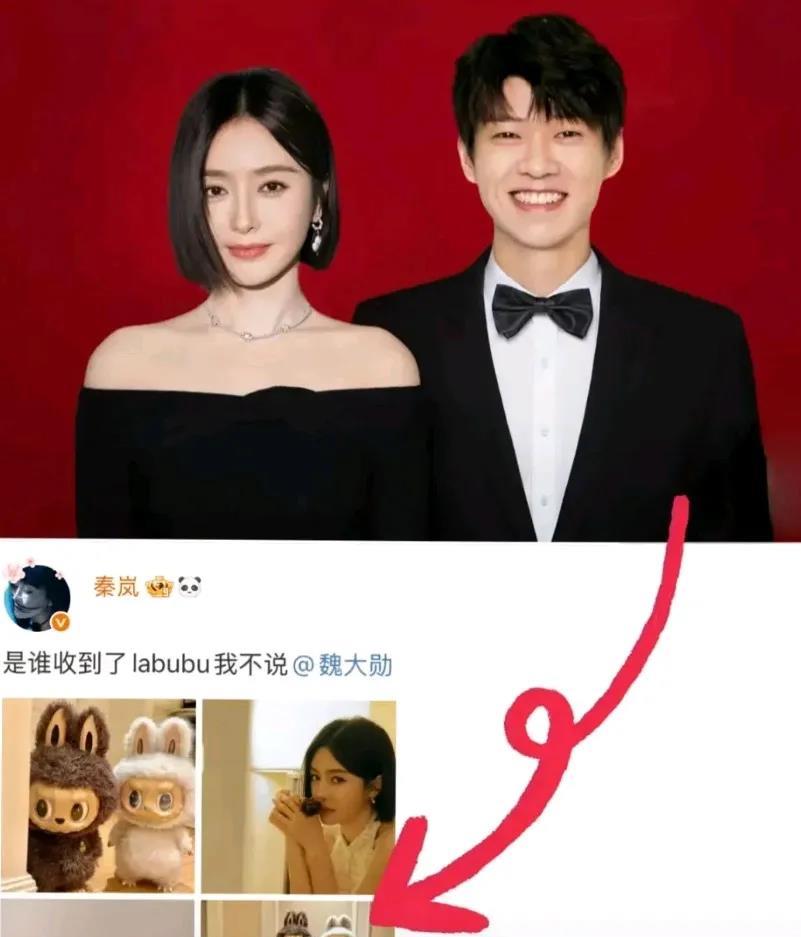 秦岚和魏大勋相差10岁的姐弟恋，看起来并不违和呀！秦岚今年已经46岁了，而魏大勋