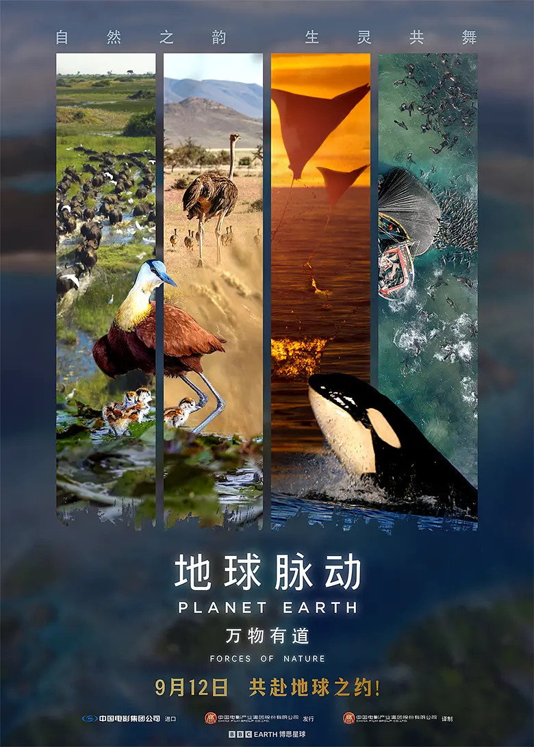 影讯09.12英国批片地球脉动：万物有道影片信息（分线发行，9点上片）外文片