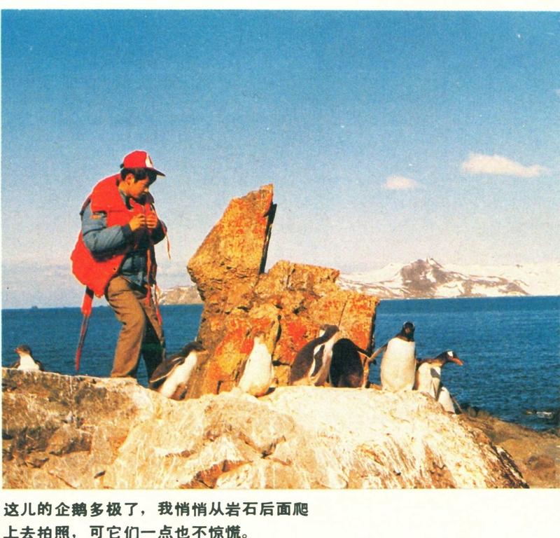 你旅行去到过最远的地方是哪里？我旅行去过最远的地方是喀纳斯和西藏林芝的墨脱县。初