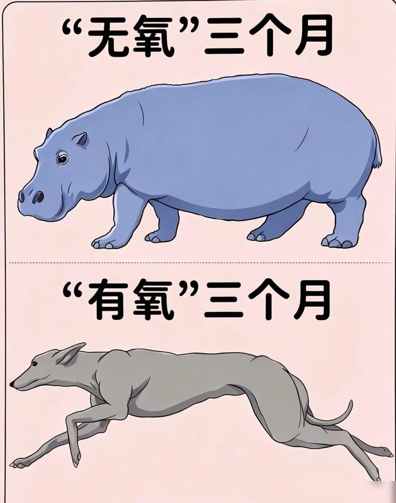 医师结合疾控运动研究报告说明，单一运动只会顾一头，有氧负责即时燃脂，无氧拉高长效