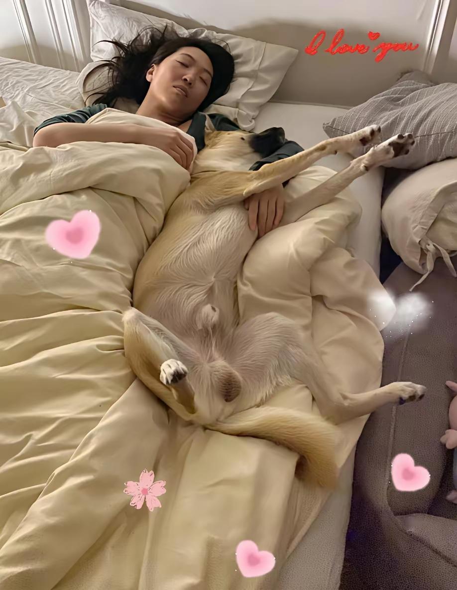 地下的窝好好的，就是不去，非得在这挤着……