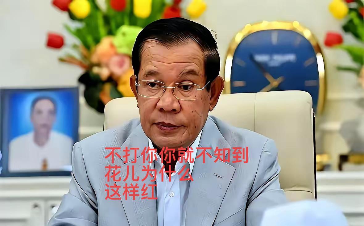 不是泰国变强了，而是柬埔寨先推开了所有能拉它一把的手。它亲手撕掉了国际社会的信