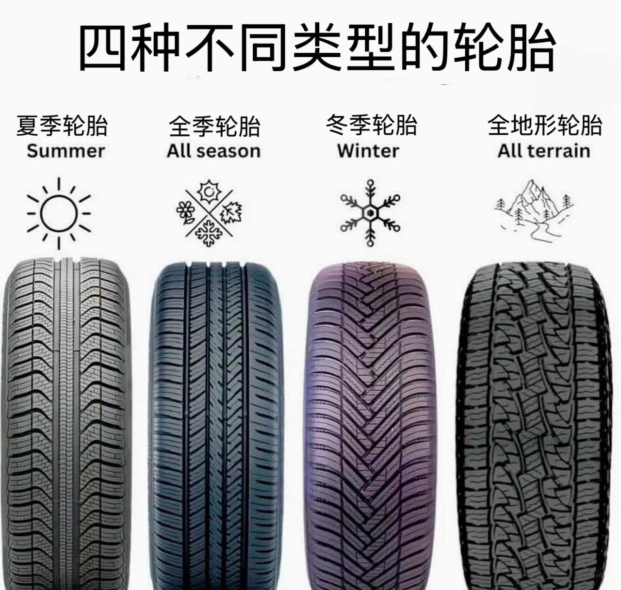 四种不同类型的轮胎，每种类型都针对特定天气或地形条件进行了优化。1.Summ