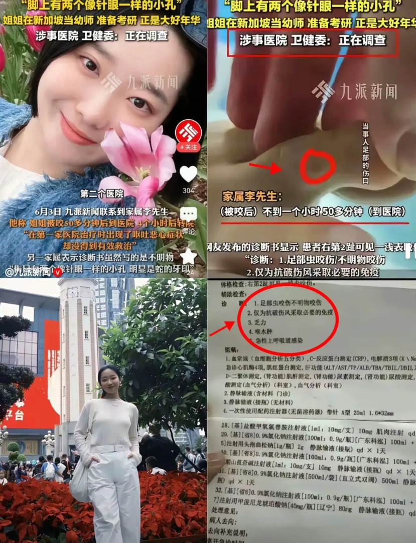 被毒蛇咬亡女子最新后续来了！男友说出更多细节，真的太让人心痛了！男友张鹏回