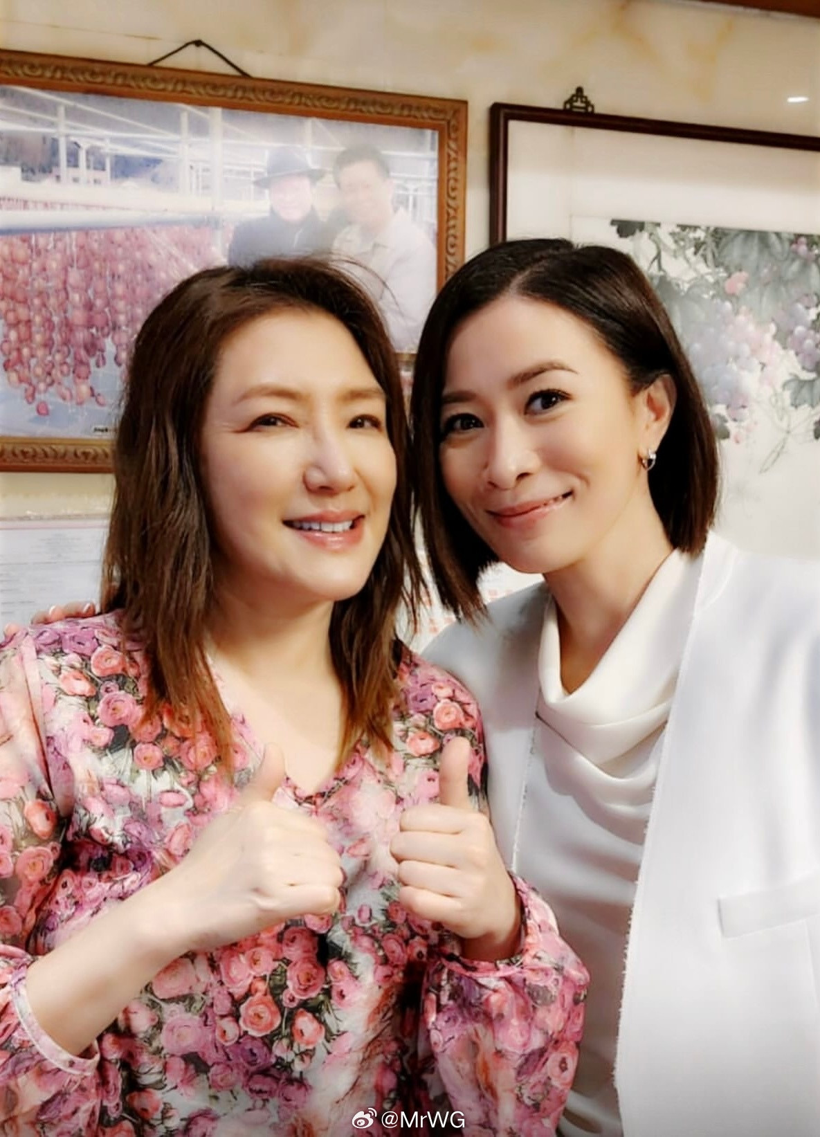 佘诗曼“剧”说一下就25年——TVB版《碧血剑》后，一直隔了25年，才