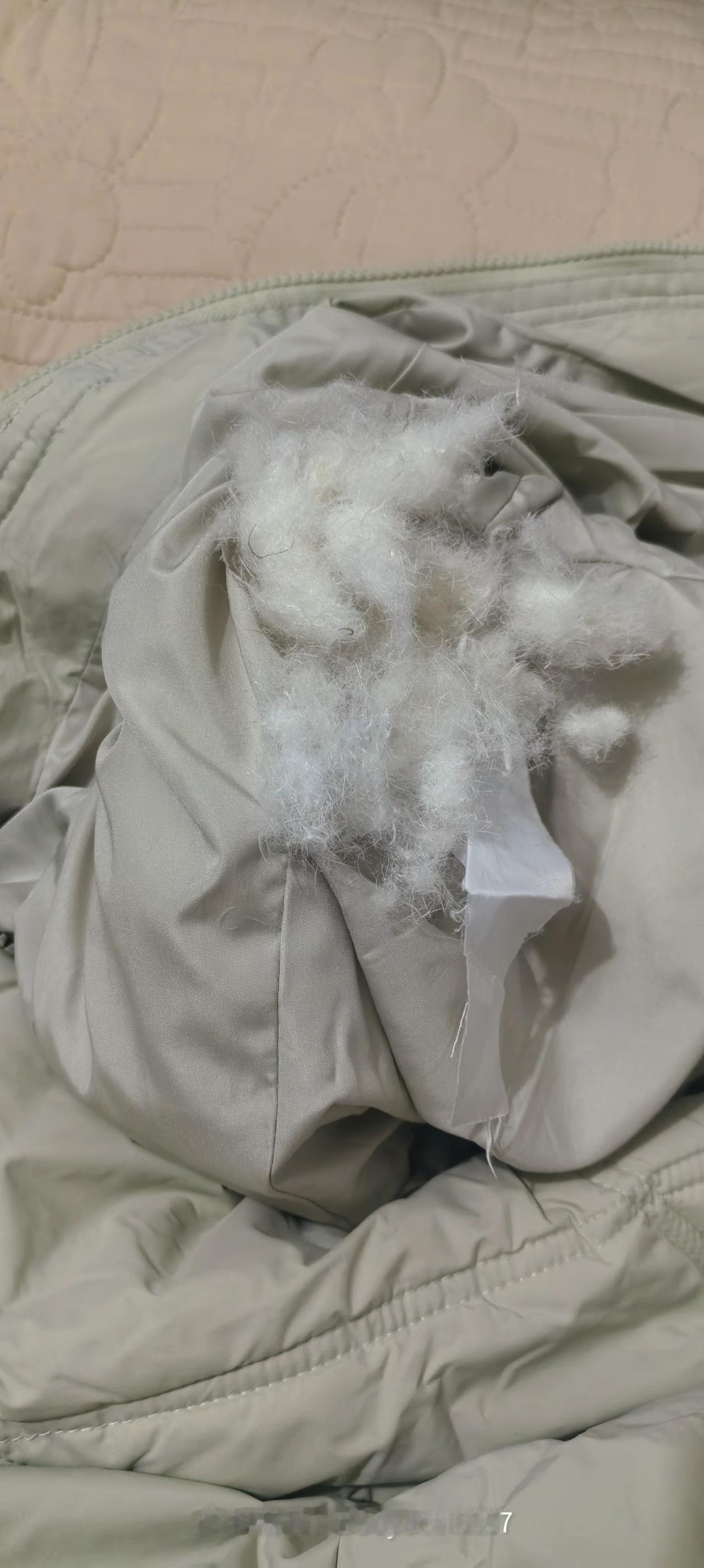 真是一眼就能看出是假的，填充物居然还有鹅肉。反正我已经退了好几家的羽绒服了，质量