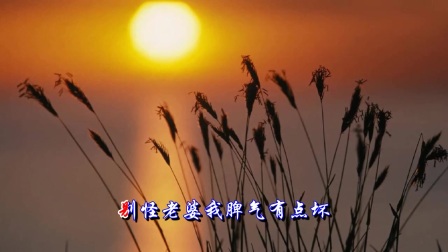 老公你真讨厌+苏小花MV(HD高清原伴双轨卡(