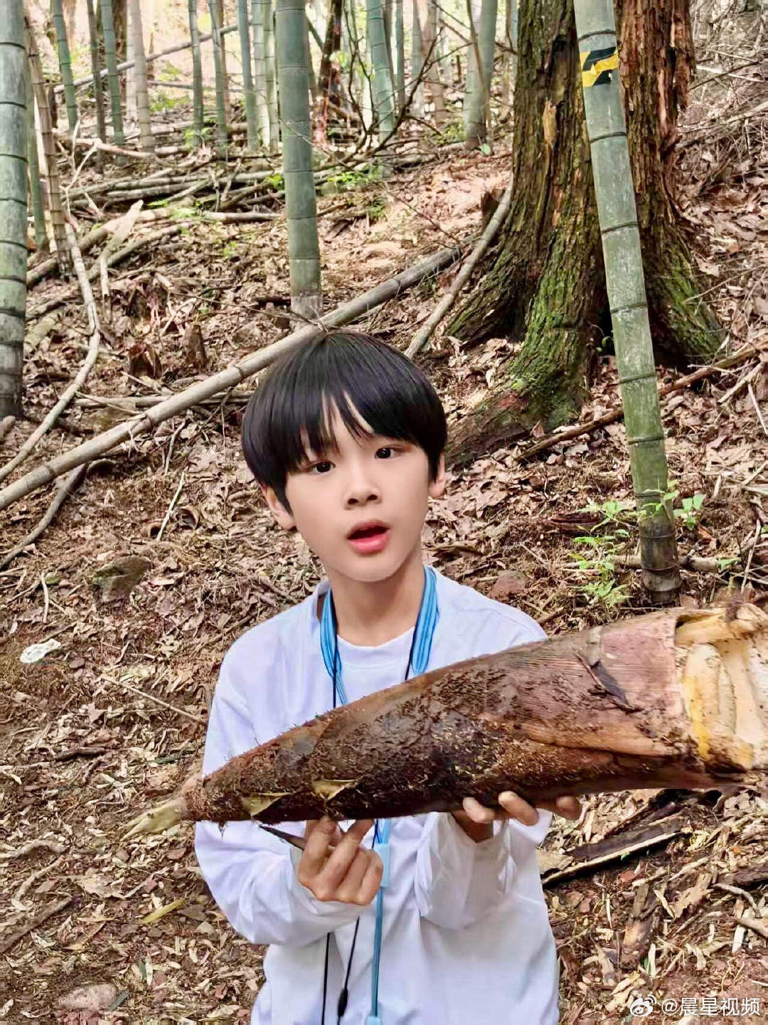 黄圣依小儿子9岁近照黄圣依小儿子9岁身高黄圣依小儿子9岁近照，安麟不仅身高优越，