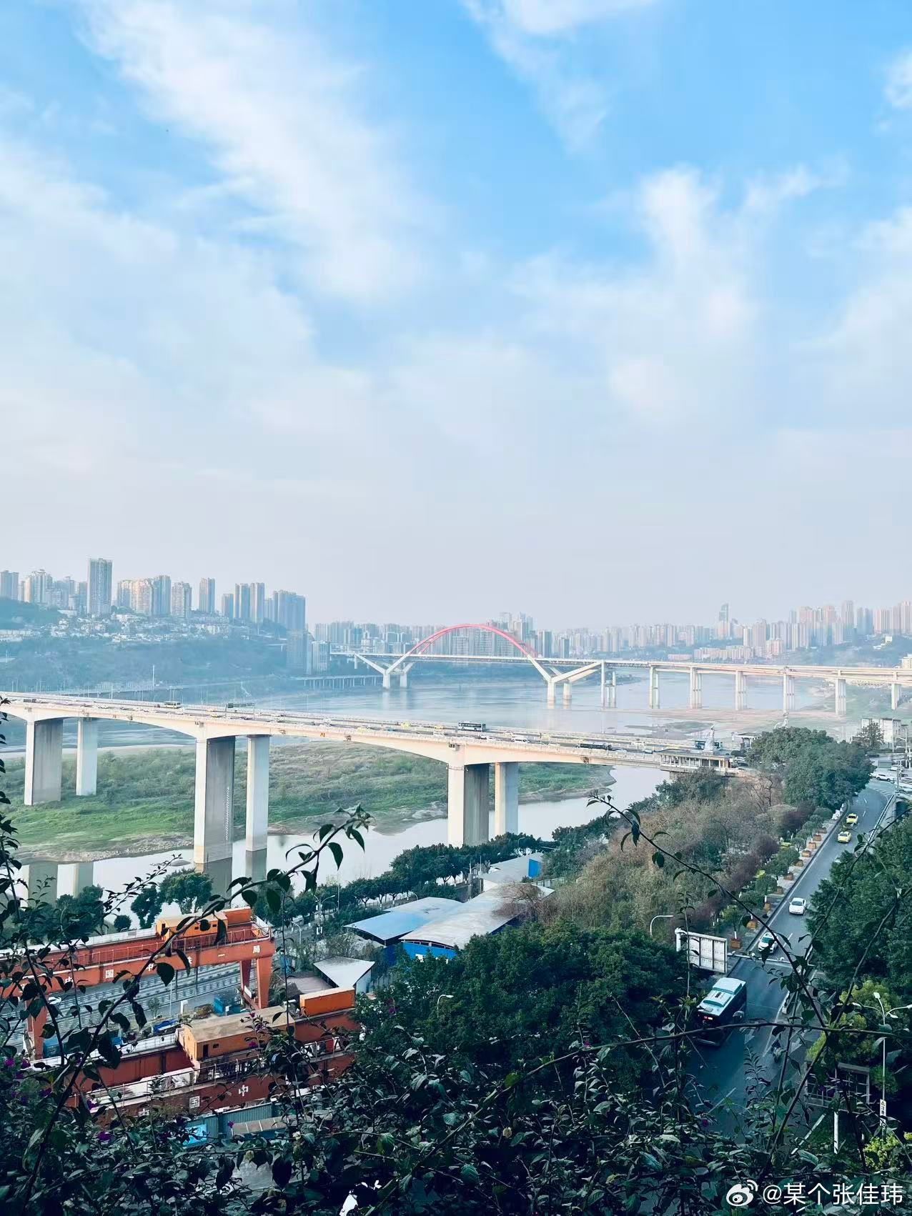 早起走山城栈道看长江，看黄桷树枝嵌在城墙里，奇怪又顽强的生命力有个拍商业照片的奇