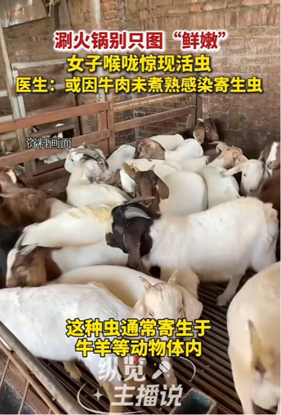 “太吓人了！”近日，湖北襄阳，一女子吃火锅时，觉得牛肉煮太久了不新鲜，于是在锅内