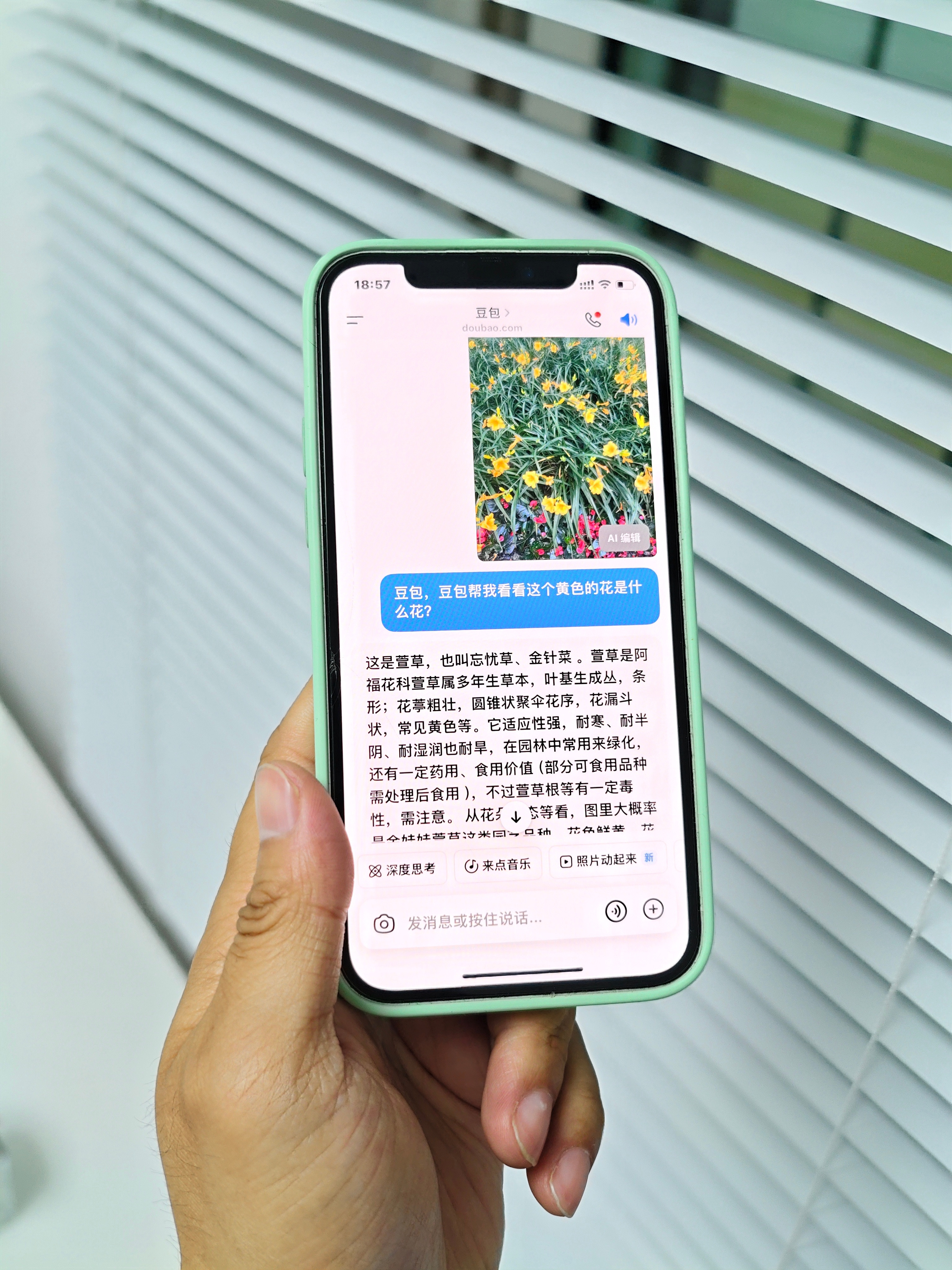 推荐大家给父母手机上装个豆包之类的AIApp，平时用起来会很顺手。老人消息闭