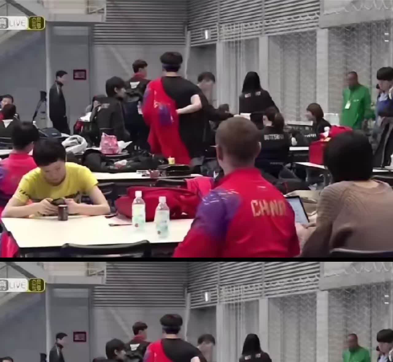 头哥这占有欲绝了！莎莎身边寸草不生既视感家人们谁懂啊！头哥这占有欲真是藏