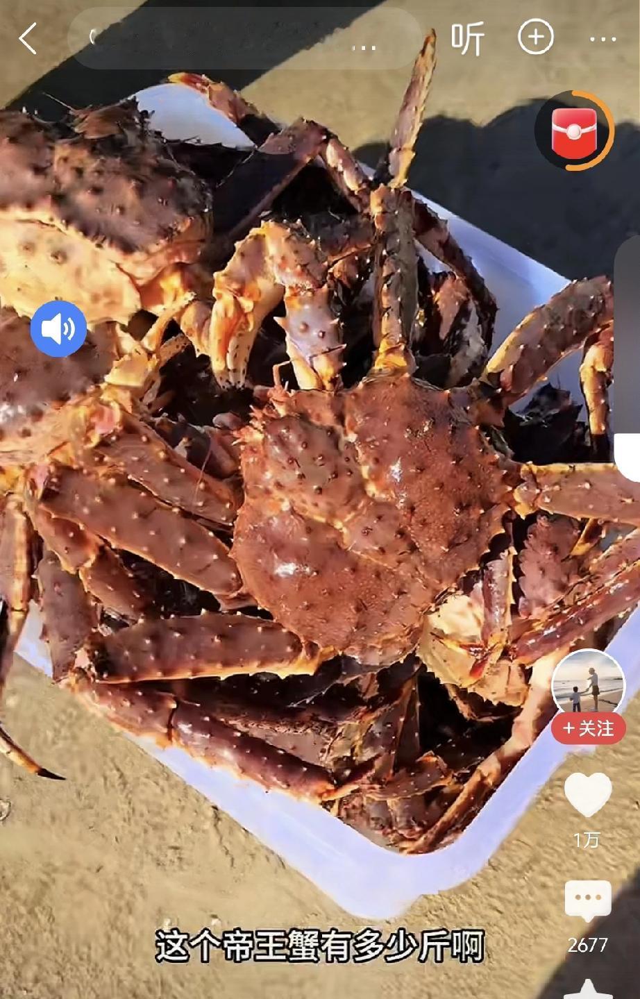 豪横的福建婚宴你见过吗？刚刚看到一个视频，是福建一家在自己家院子内举办婚宴的