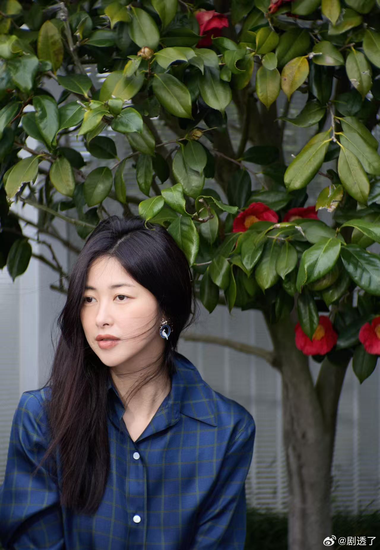 淡颜朱珠淡颜朱珠真的绝了，娱乐圈少有的淡颜看着这么舒服的