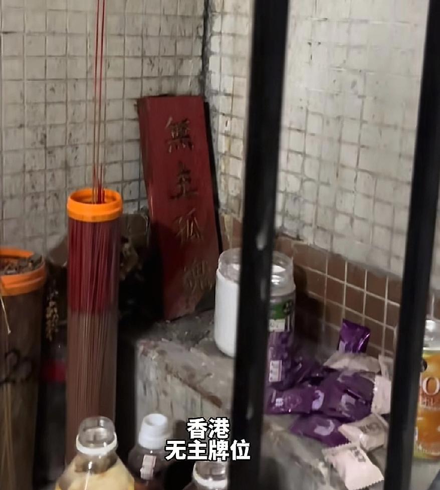 “简直疯了！”香港，偷走“无主孤魂”牌位的内地网红杨大胆，绝不会想到，他已经点
