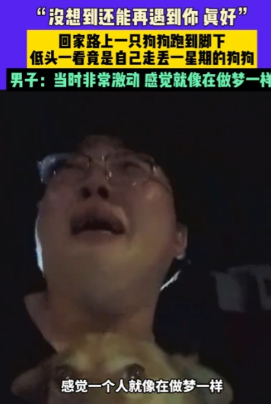 太有灵性了！”江苏，一男子的宠物狗丢失一周，到处发寻狗启事都没找到，不料半夜下班