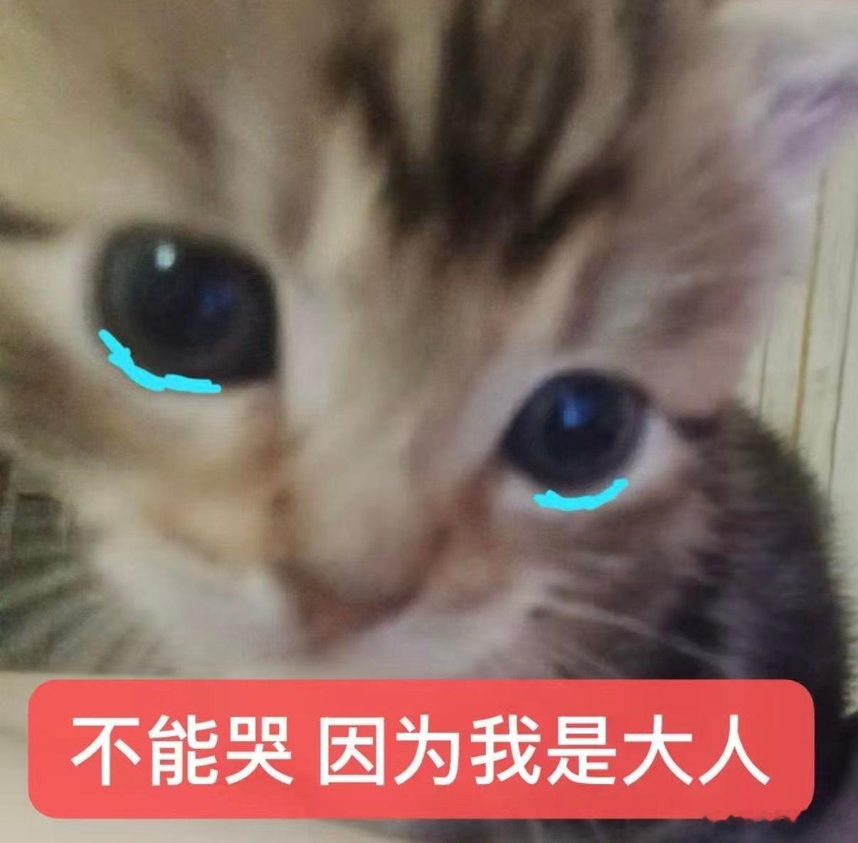 华西，急症抢救室，隔壁躺了个心态巨好的小孩哥，5岁左右吧，被蛇咬了。他问兜崽怎么了，我说发烧了。他一