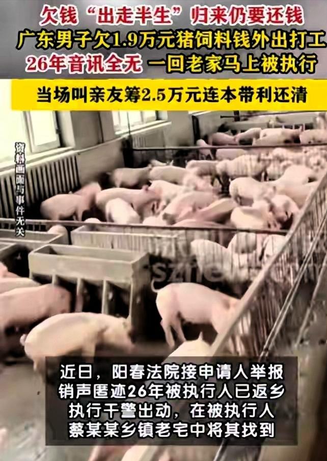 广东阳春，男子欠下19000元猪饲料钱，26年一分不还，他跑出去打工，玩消失，债
