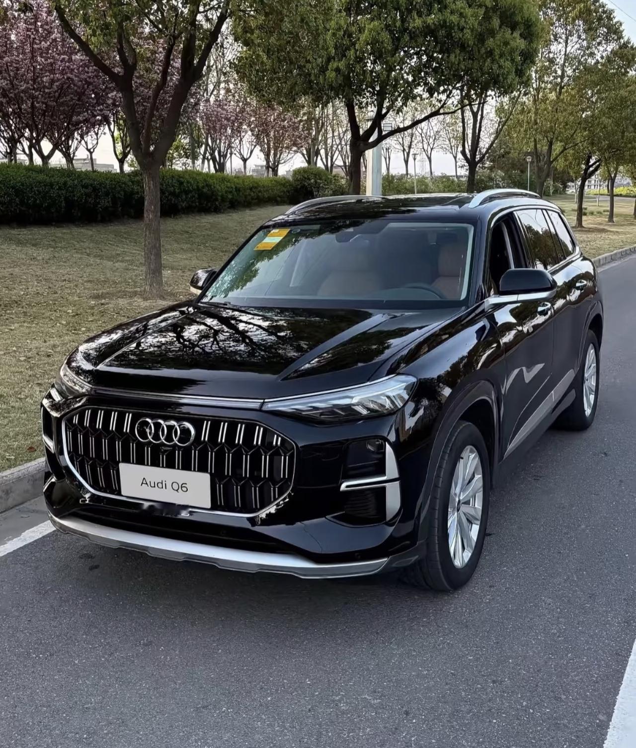 上汽奥迪Q6在技术配置层面呈现出明确的产品定位。全系标配的EA8882.0T发