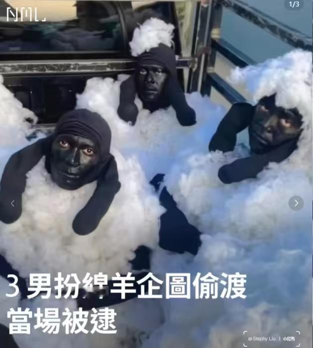 还挺像