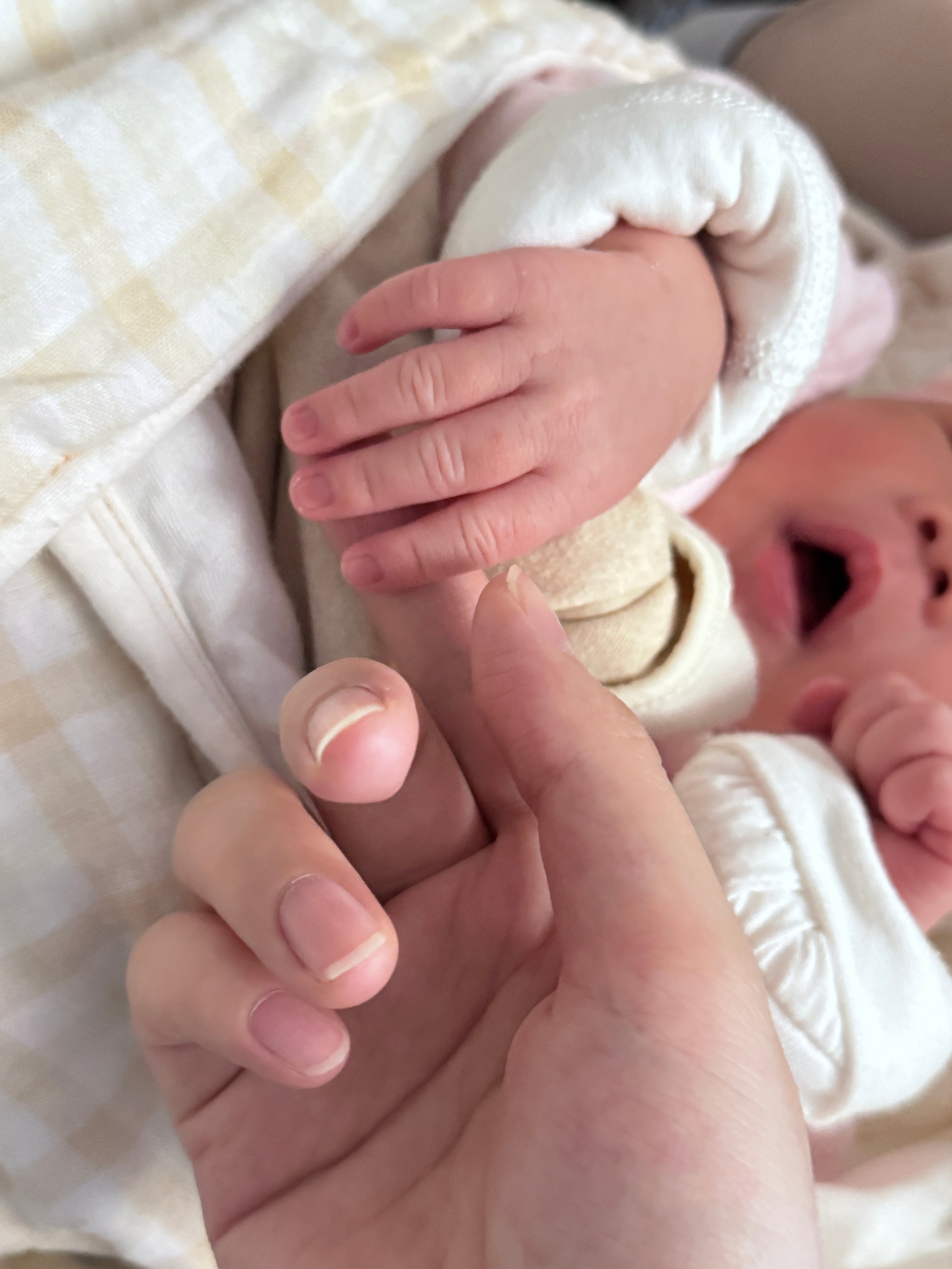 软软绵绵的崽崽