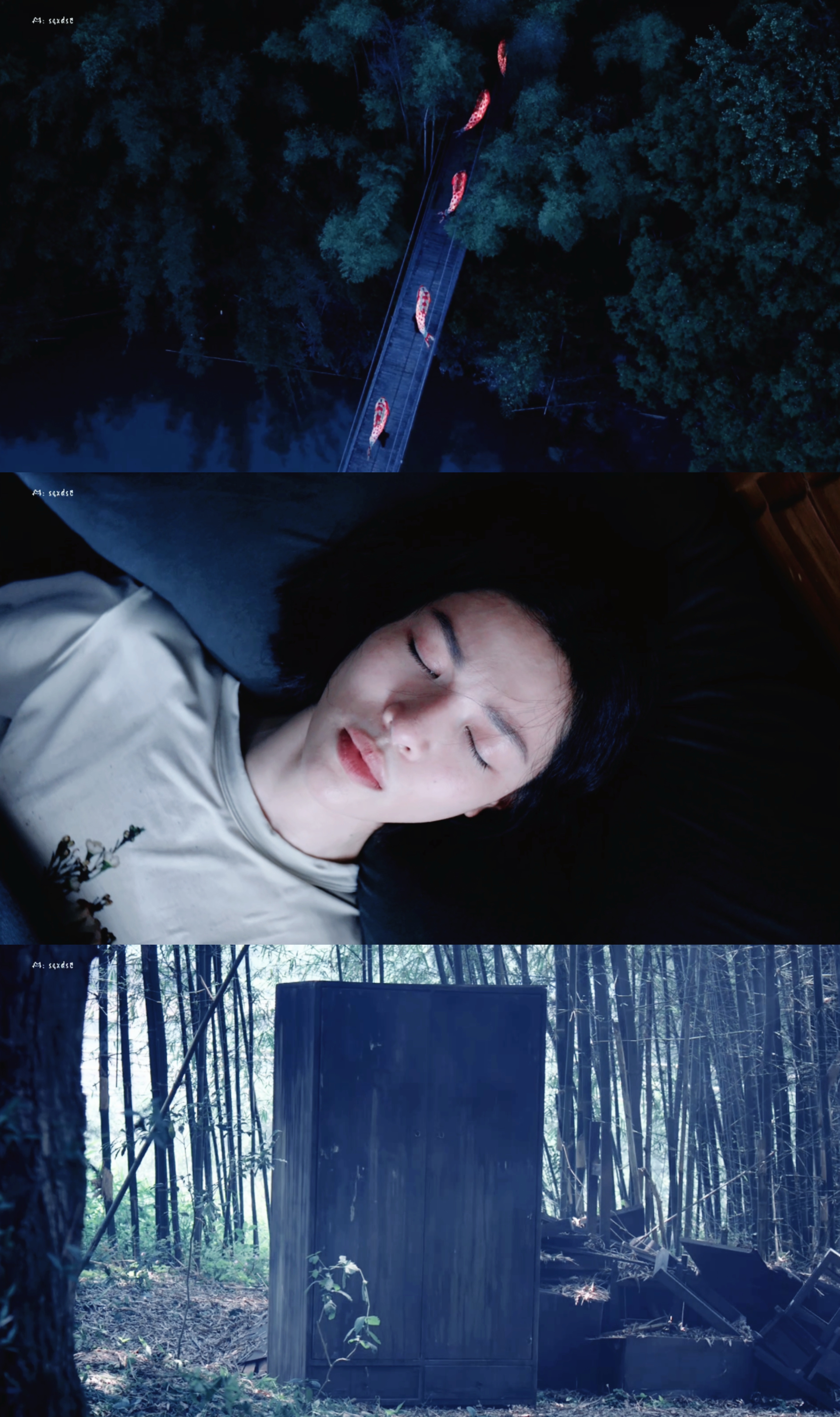 这个《蝉》质感也太好了，两个预告都剪的很好悬疑味儿真的拉满了。钟楚曦还是一如既往