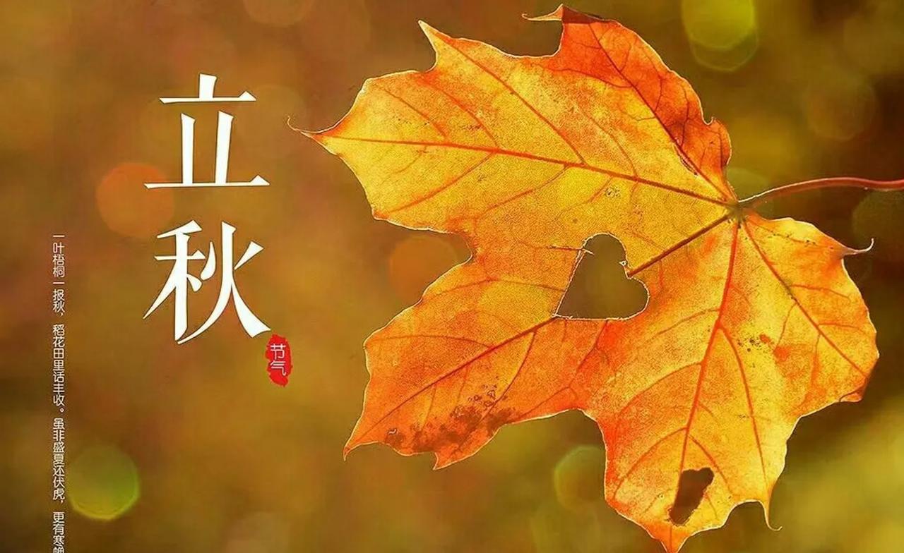 今年立秋在晚上19点42分，老话“下午立秋”有啥说法？早看早知道今年立秋精确