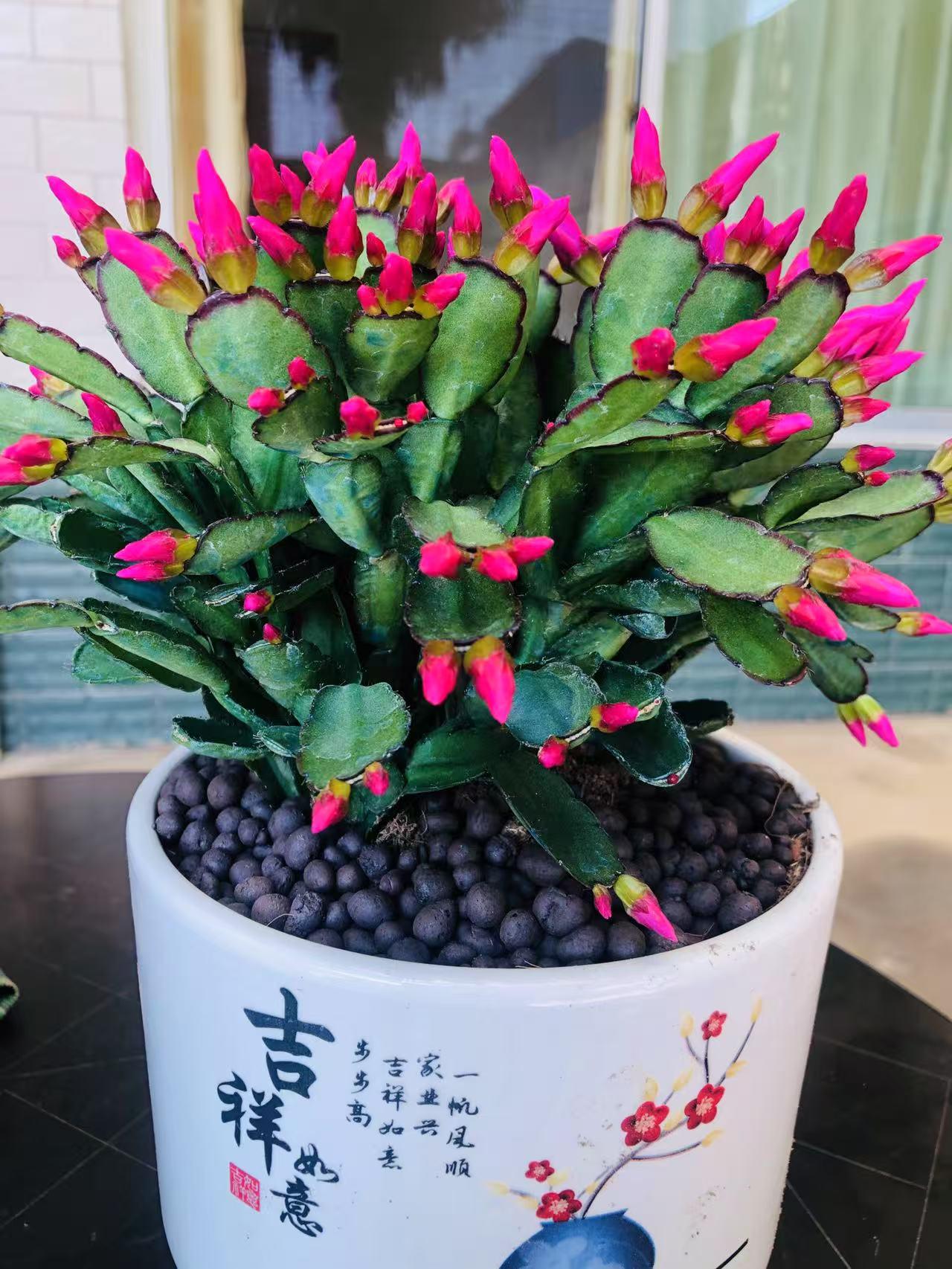 人民日报的一句话，读了，通透无比。永远不要拎着垃圾走路。读完真的是醍醐灌