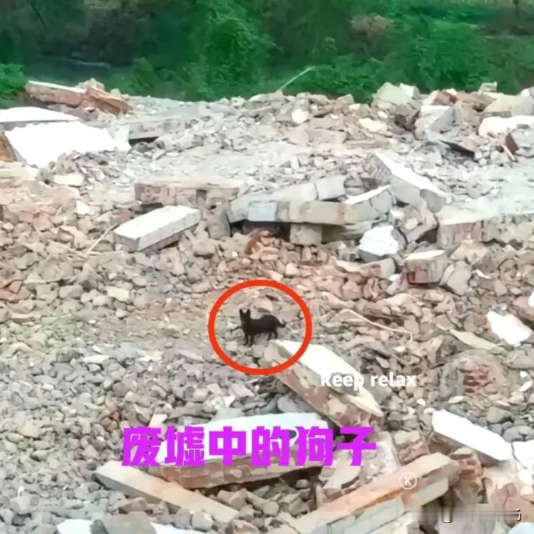 村里的一户村民，永久退出了村上的宅基地，拿到赔偿金后，他们一家便搬到了城里。等他